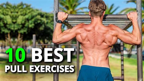 calisthenics results|top 10 calisthenic exercises.